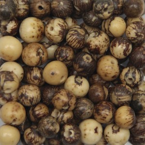 CTM1210109P100 - Contas Bolinhas Açaí Castor c/ 100un. - 8mm