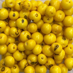 CTM1210108P100 - Contas Bolinhas Açaí Amarelo c/ 100un. - 8mm