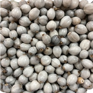 CTM1210001P100 - Contas Sementes Lágrimas de Nossa Senhora c/ 100un.